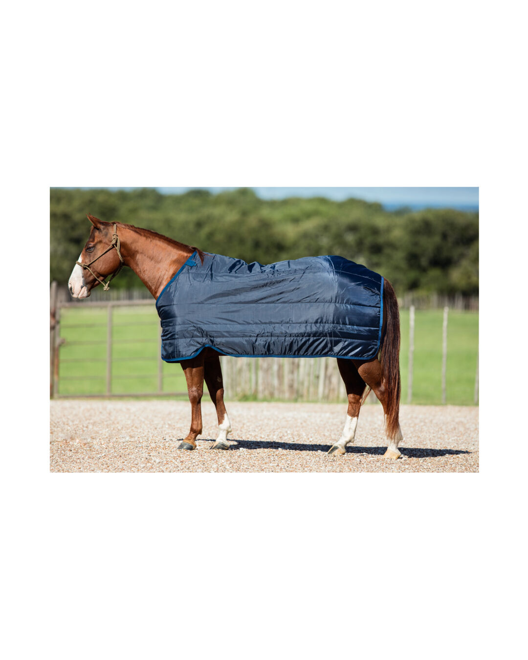 Unterdecke 200 g