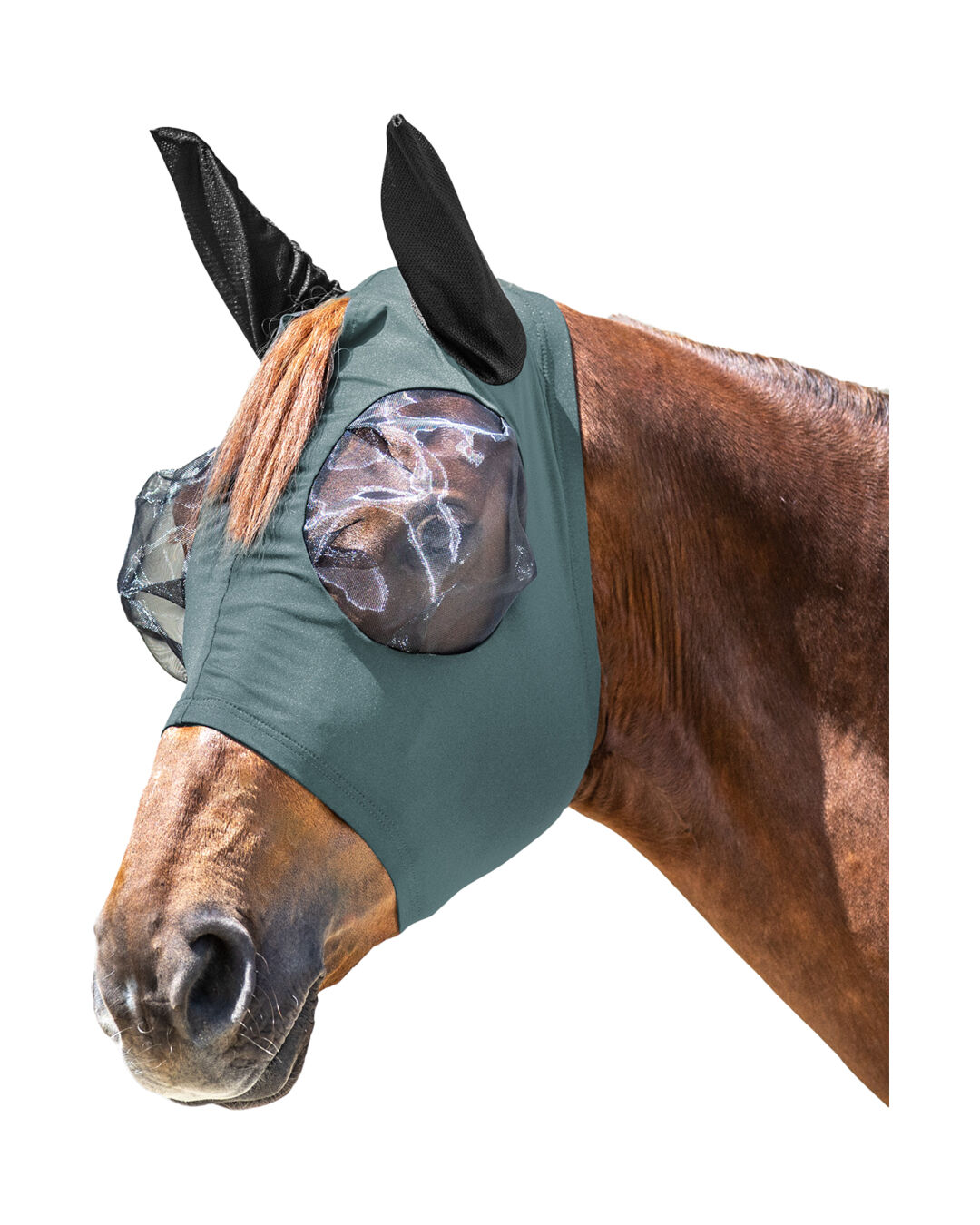 Fliegenmaske Puck