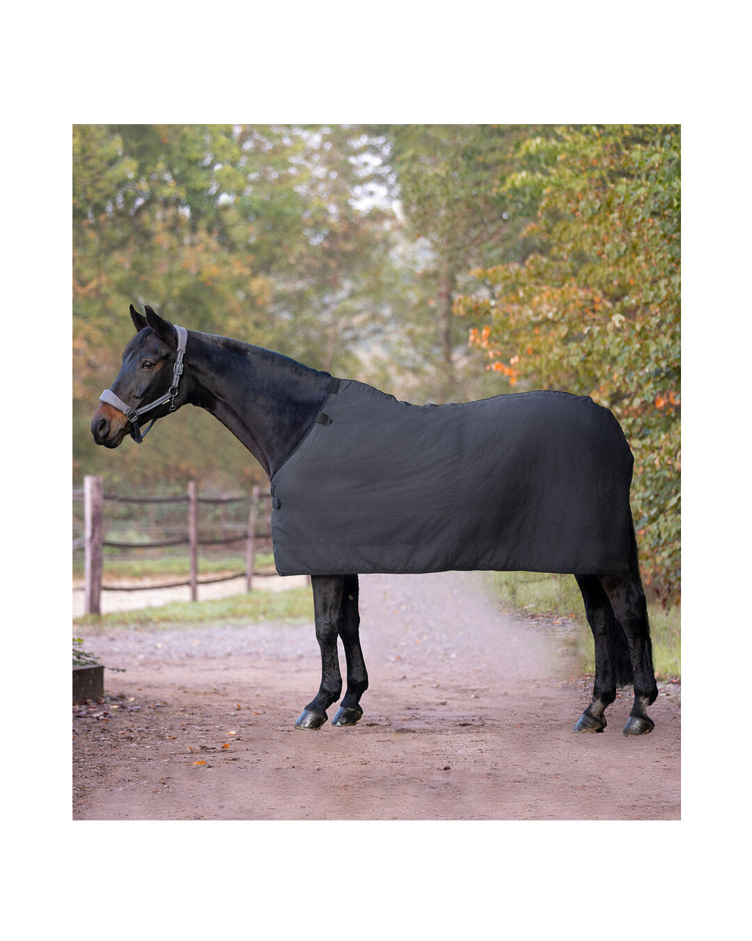 ECONOMIC Fleece Unterdecke