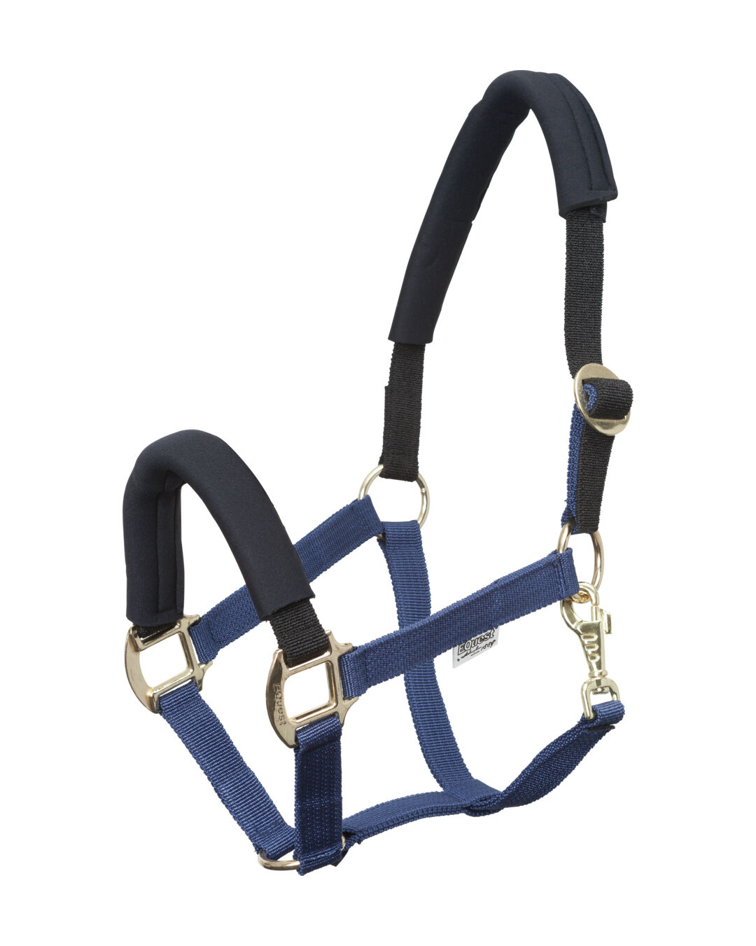 Halfter EQ Stretch