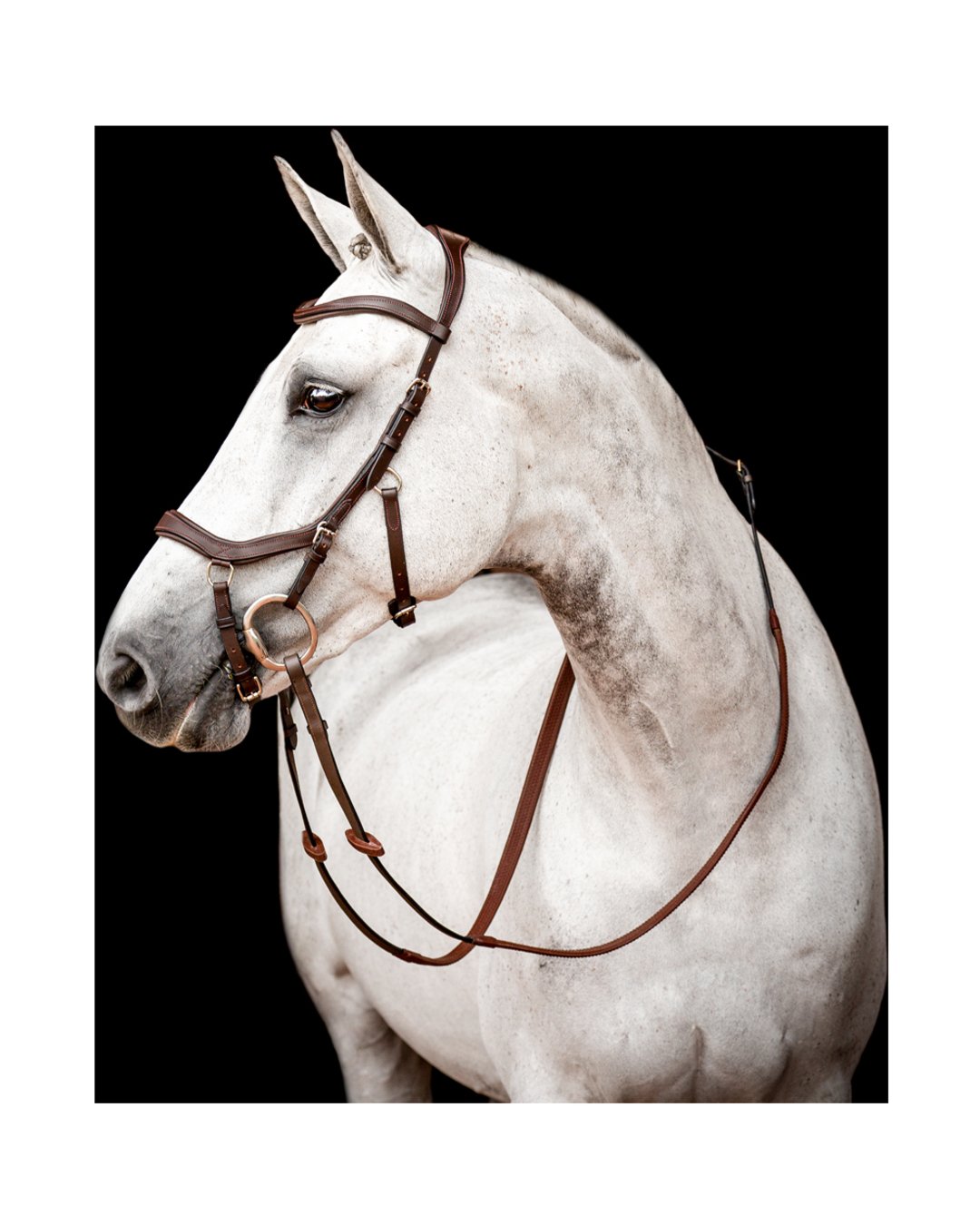 New Micklem Competition Bridle