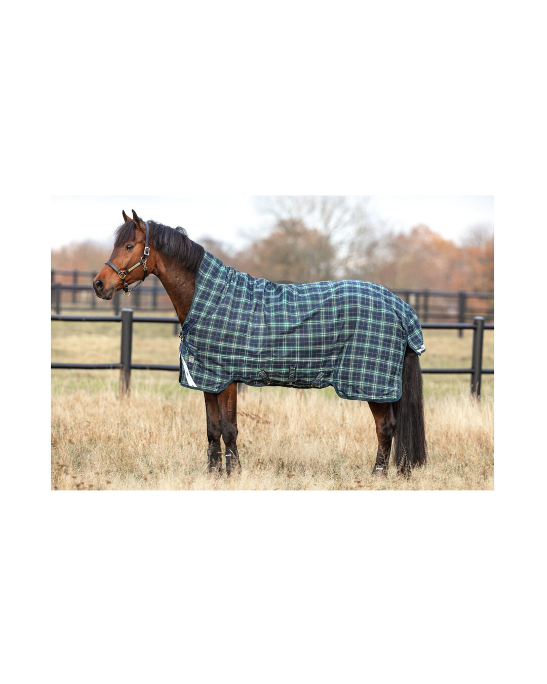 Winterdecke Rhino Wug Turnout Medium 250 g  Winterdecke Rhino Wug Turnout Medium 250 g