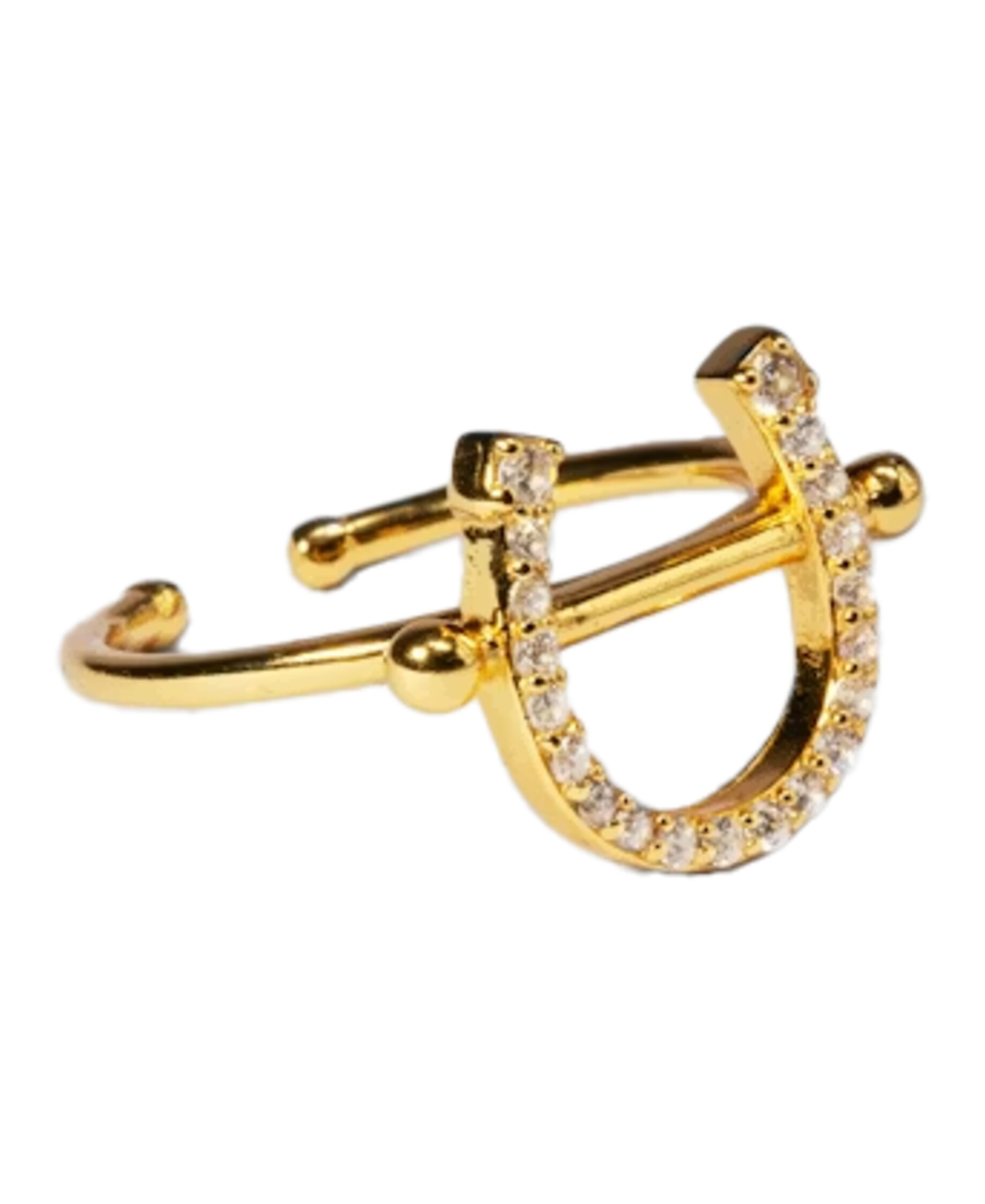 Hufeisen-Ring
