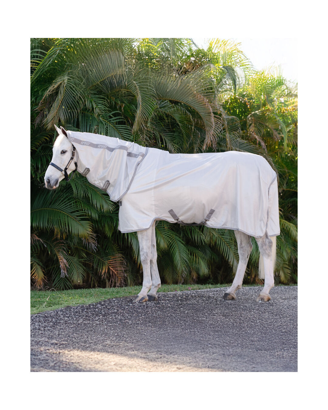 Fliegendecke Integrated Fly Sheet 0 g