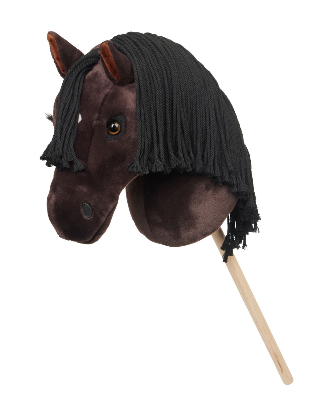 Steckenpferd Hobby Horse