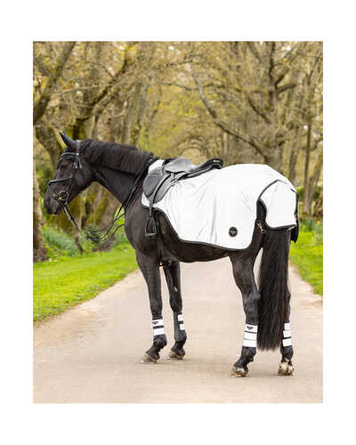 Ausreitdecke Reflective Exercise