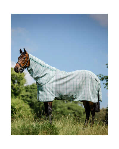 Fliegendecke Newmarket Plus