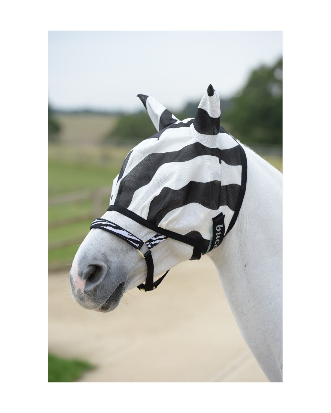 Zebra Buzz Off Fly Mask
