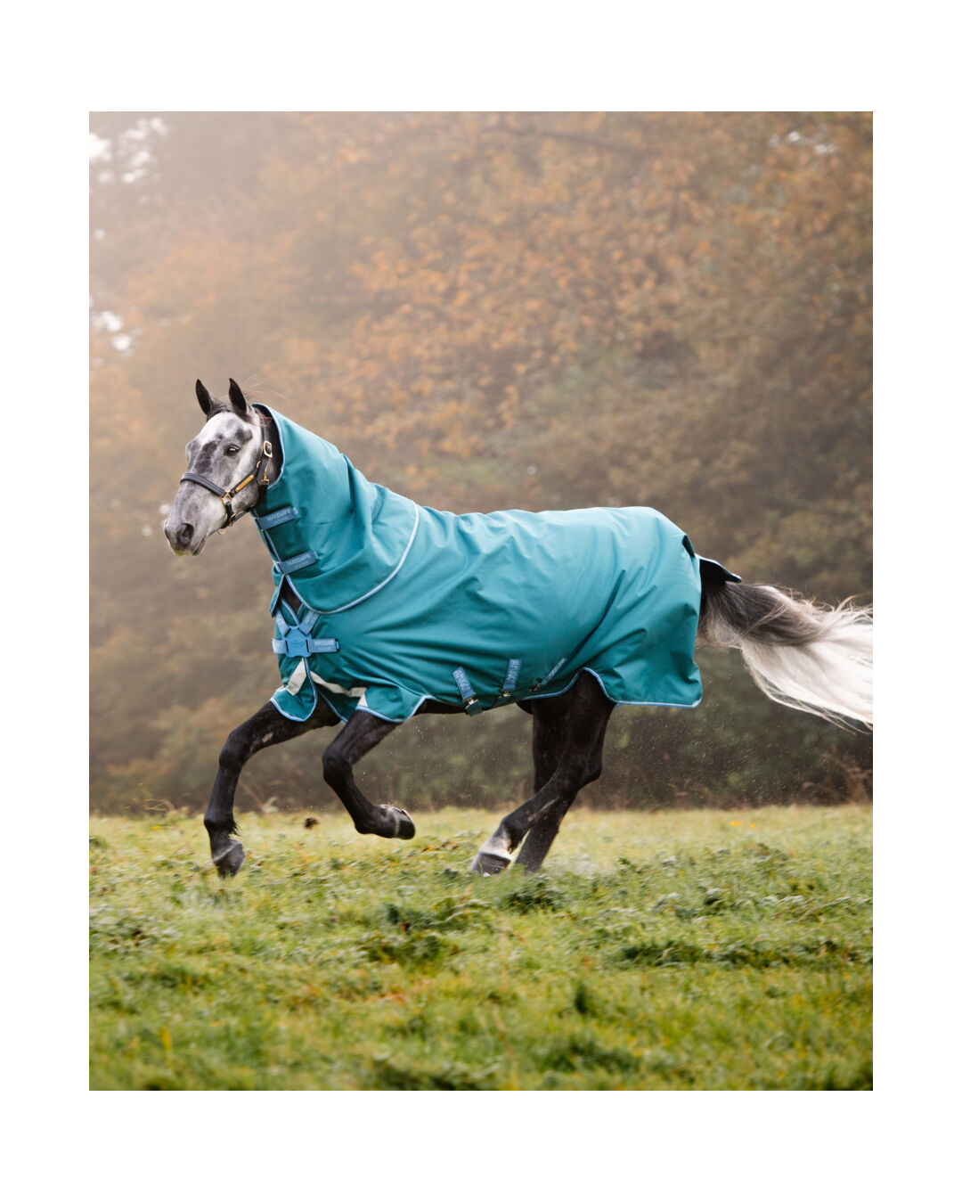 Winterdecke Bravo 12 Plus Turnout Light DISC 100 g