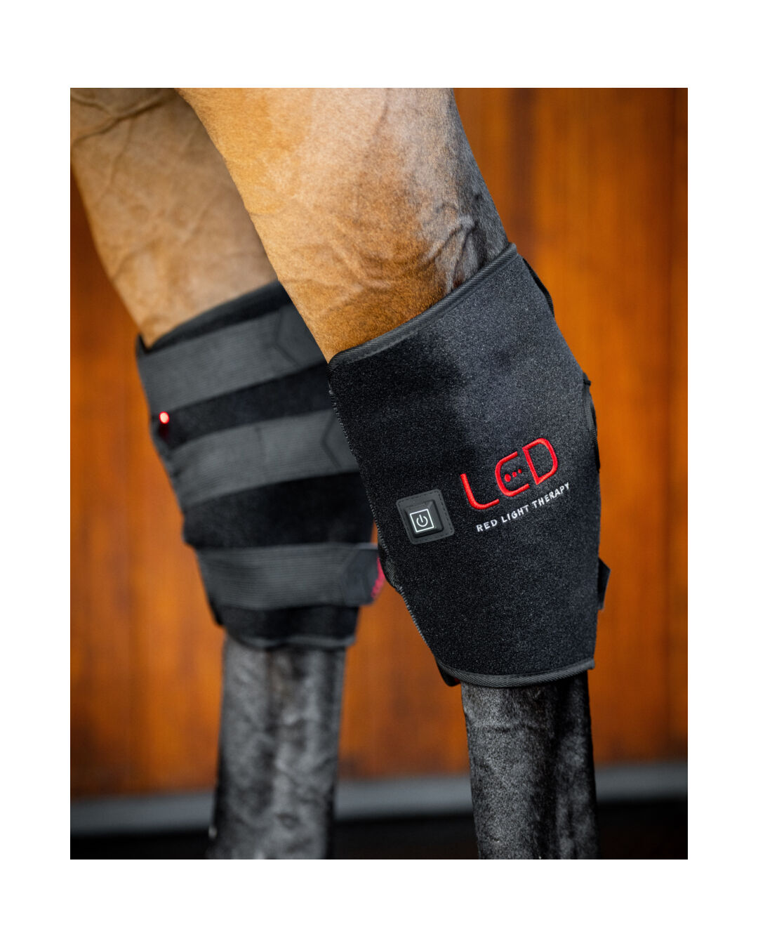 LED-Rotlicht-Therapie Sprunggelenksgamasche (Links)