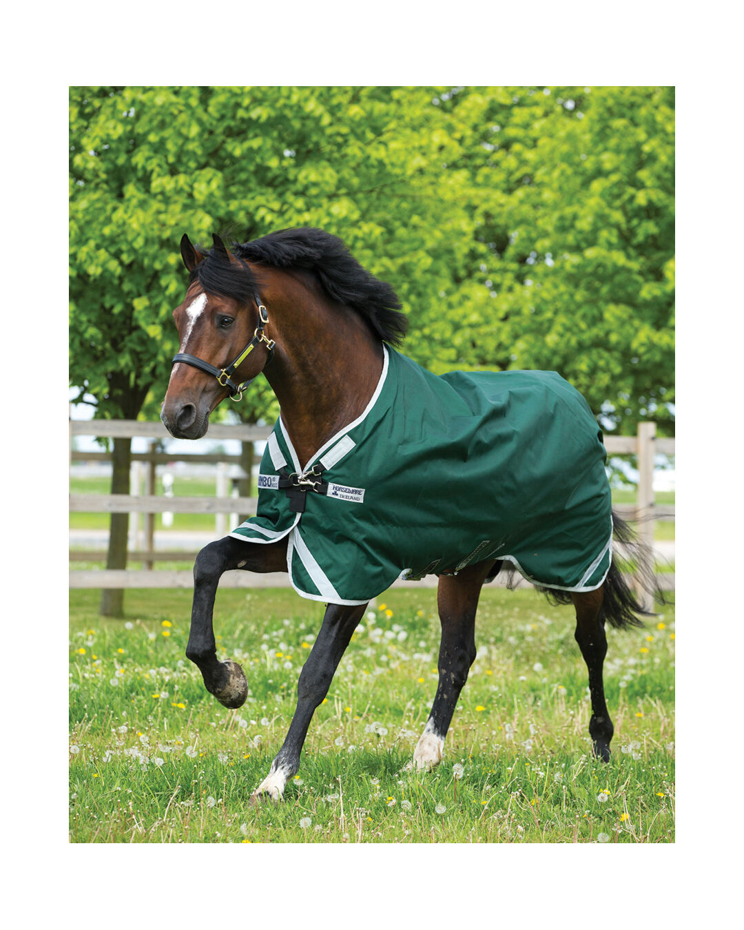 Outdoordecke Original Turnout mit Beinausschnitten Light 0 g  Outdoordecke Original Turnout mit Beinausschnitten Light 0 g