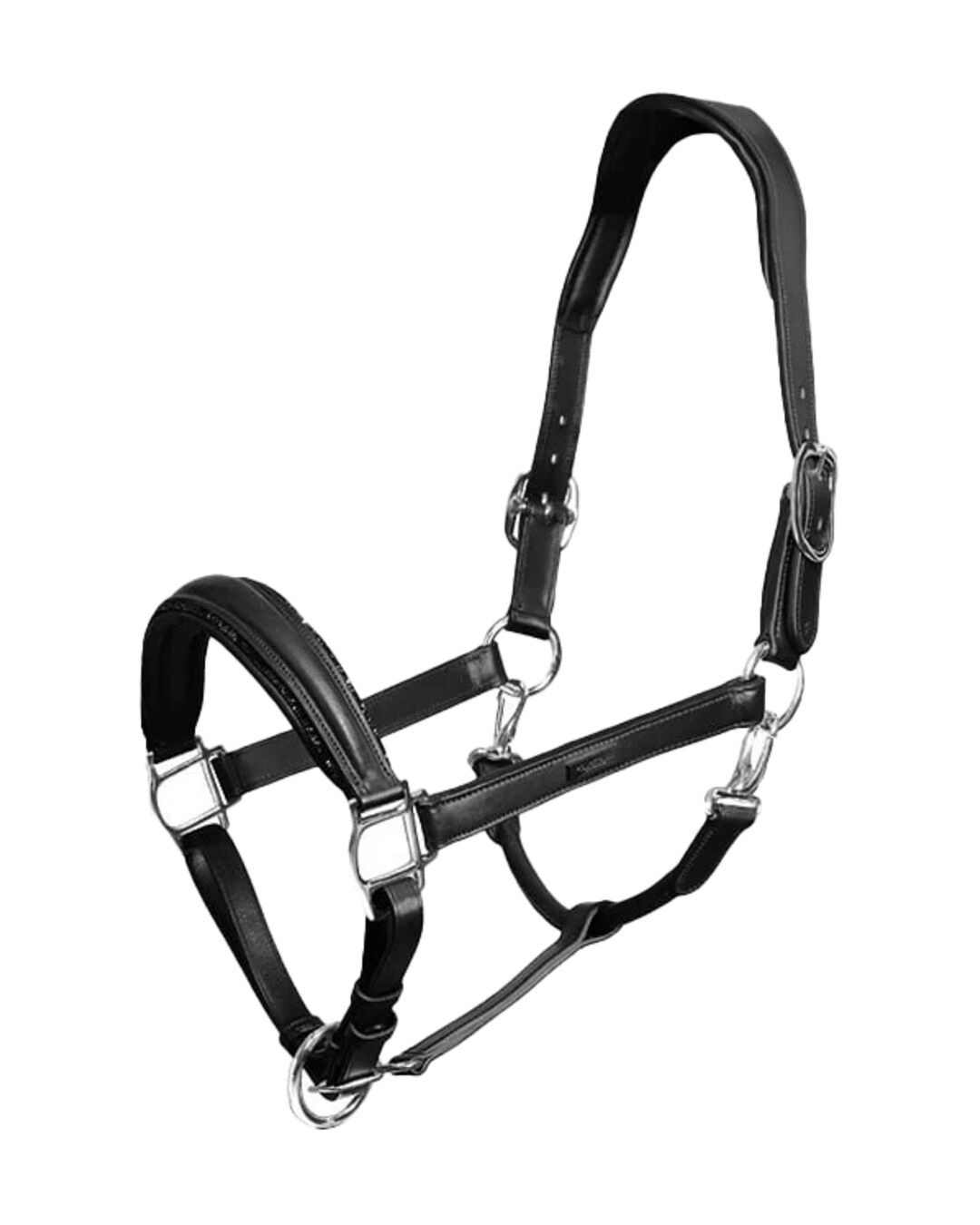 Lederhalfter Anatomic Glimmer