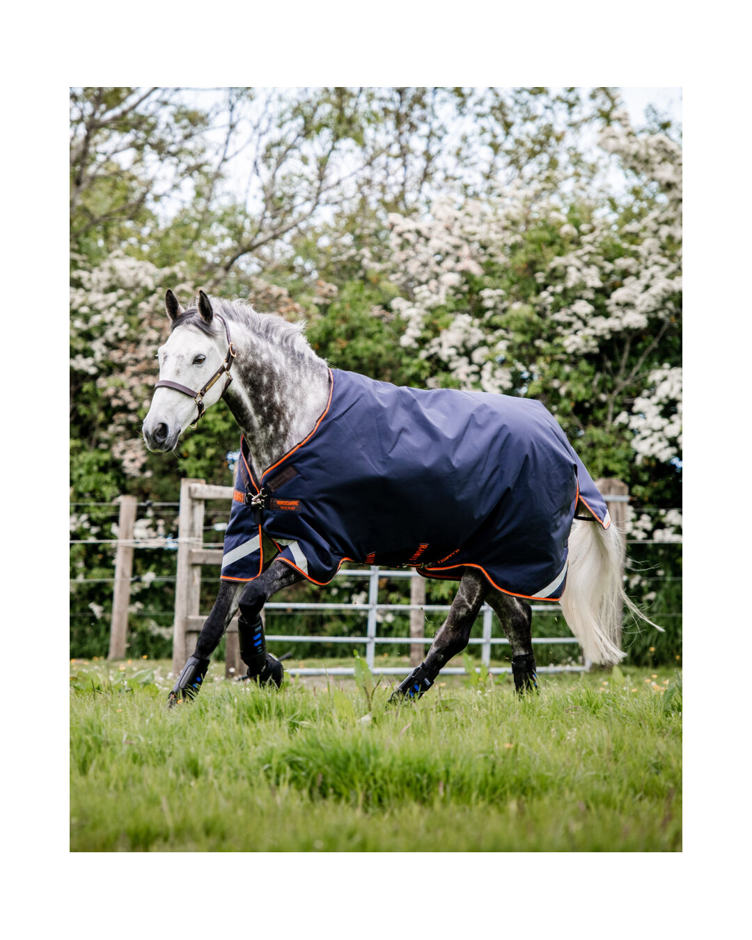 Winterdecke Original Turnout mit Beinausschnitten Light 100 g