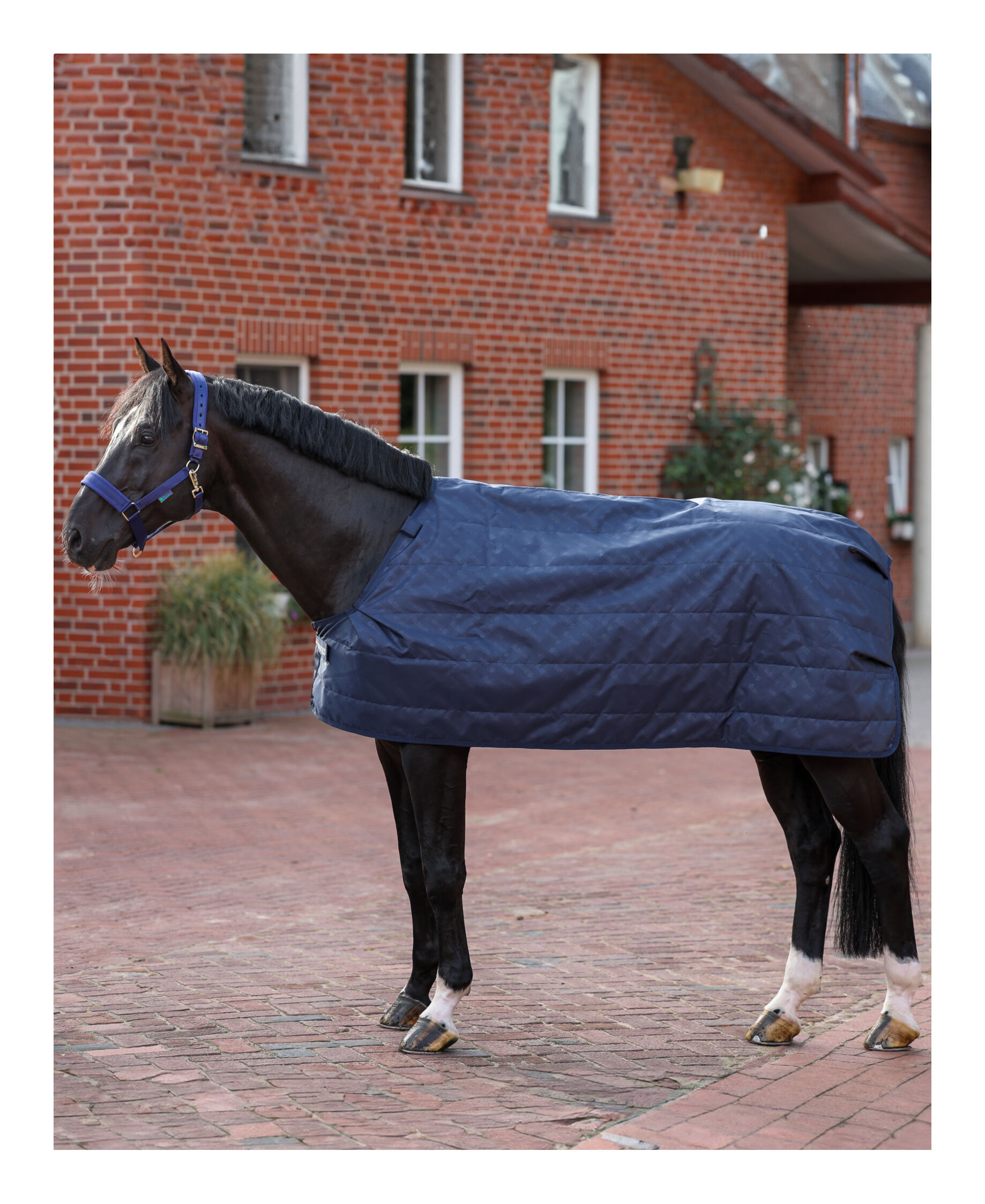 Unterdecke 200 g
