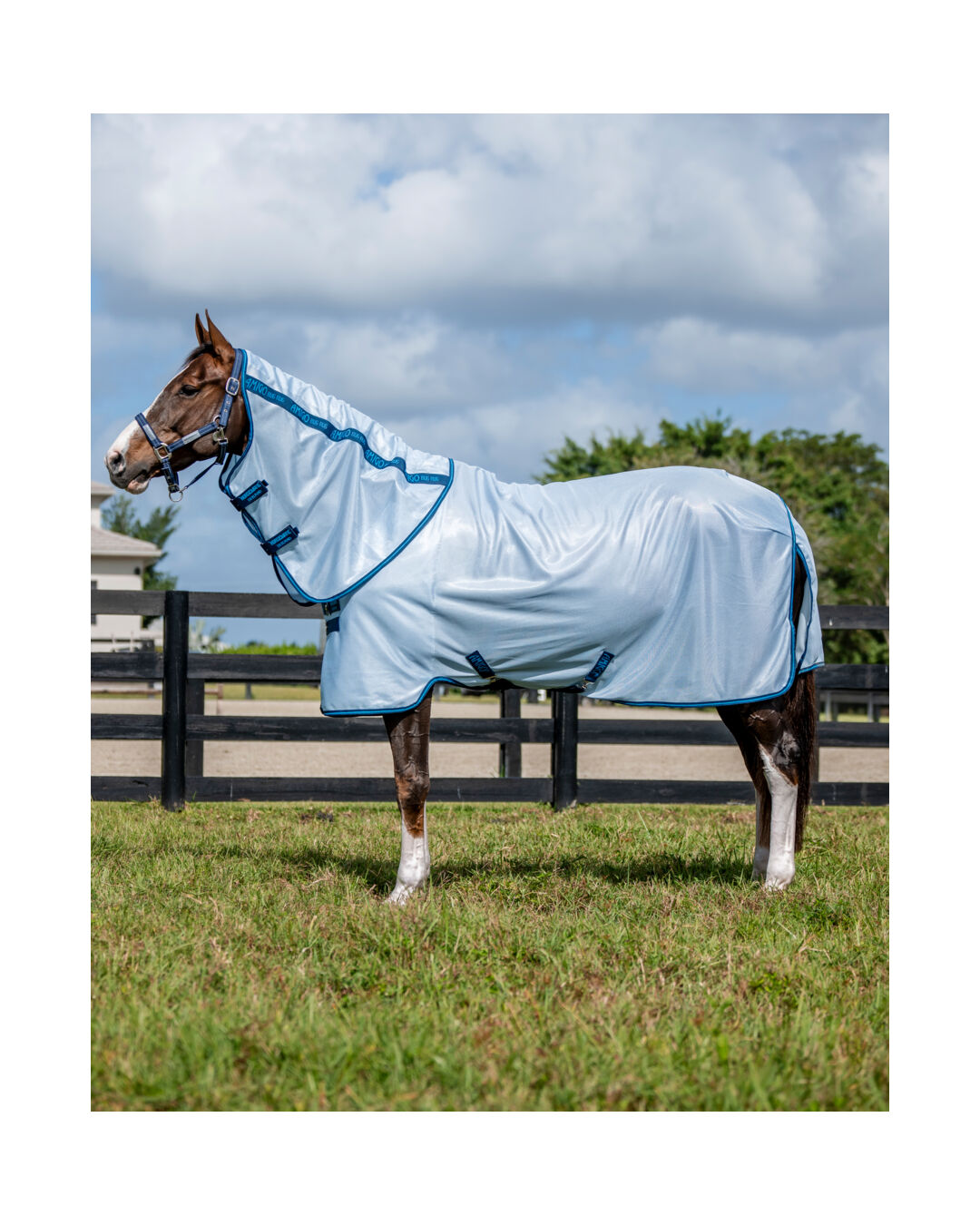 Fliegendecke Bug Rug Plus