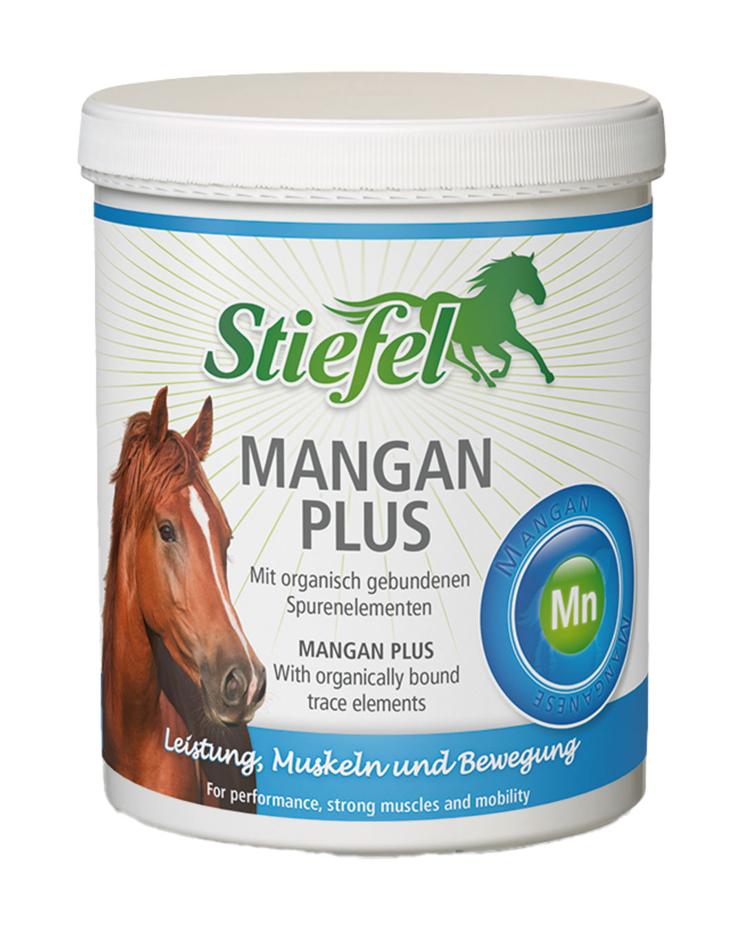 Mangan Plus