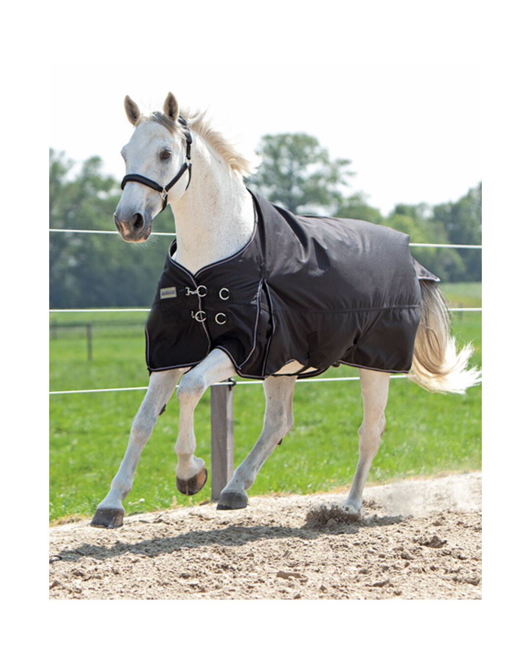 Winterdecke Alaska IV 100 g Winterdecke Alaska IV 100 g