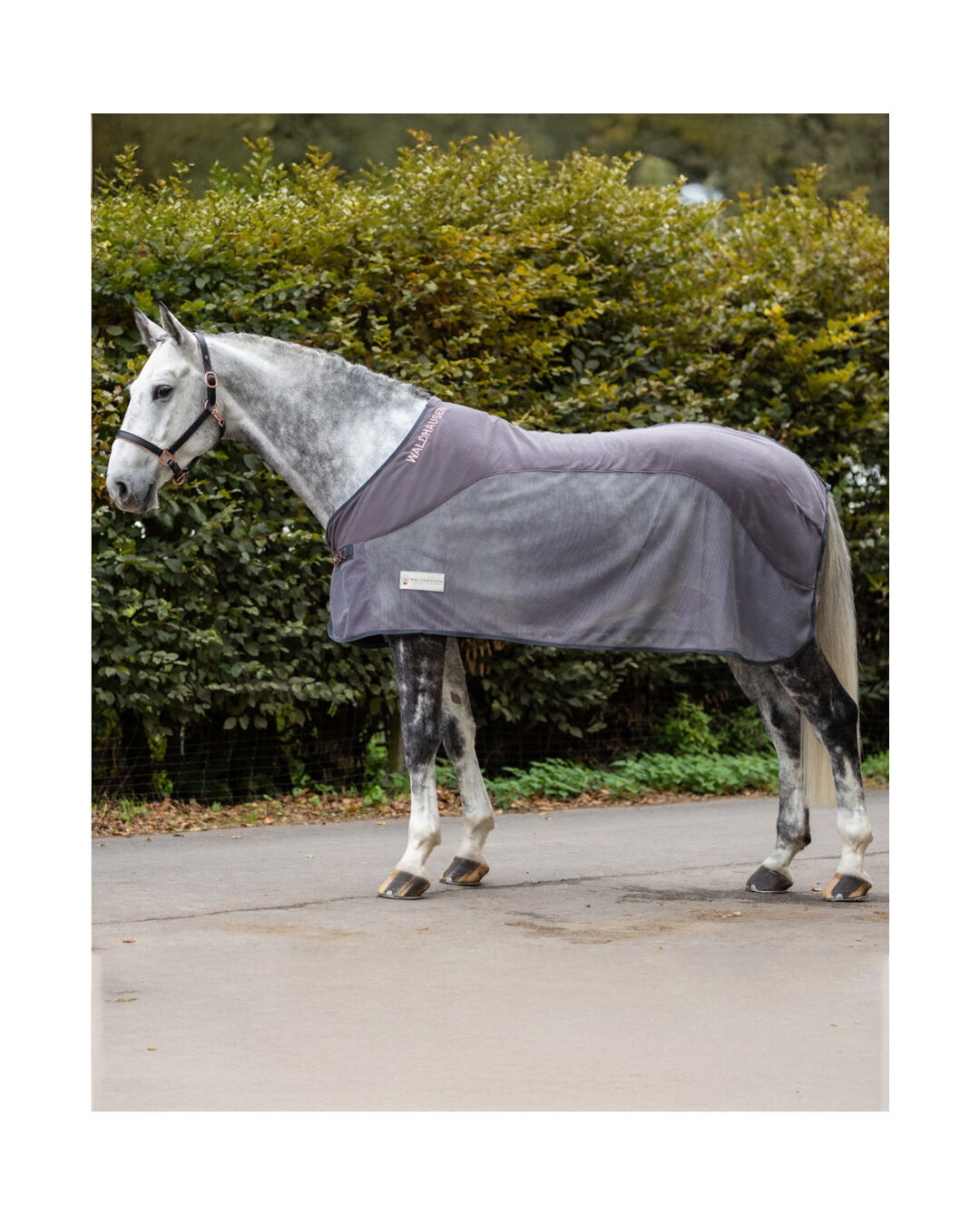 Fleece-Fliegendecke Comfort