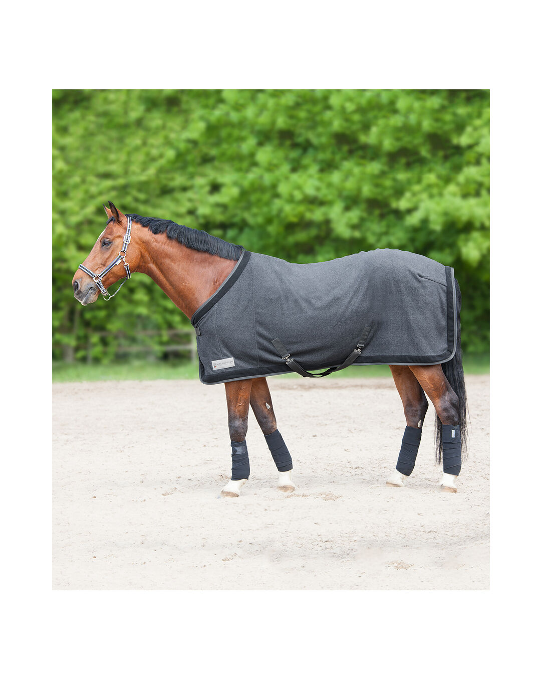 Abschwitzdecke Comfort Esperia Two