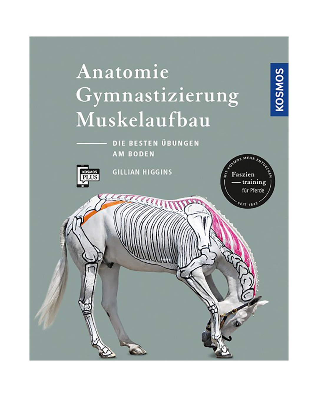 Buch Anatomie, Gymnastizierung und Muskelaufbau