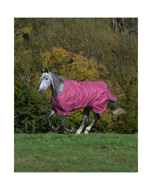 Winterdecke Freedom Turnout 300 g