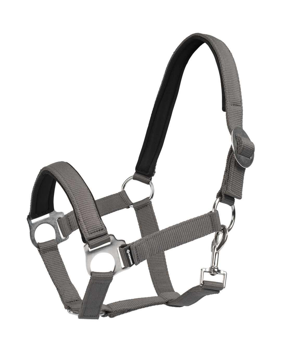 Halfter Sofia Neoprene