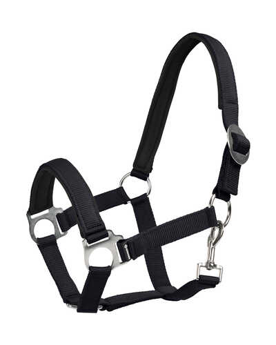 Halfter Sofia Neoprene
