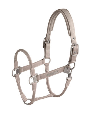 Lederhalfter Double Pin Classic Sports