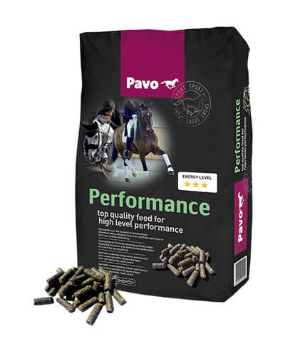 Sportmüsli Performance