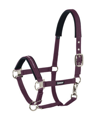 Halfter Pin Buckle