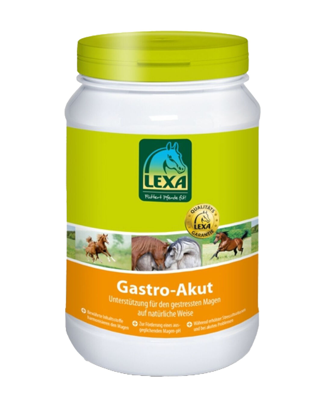 Ergänzungsfutter Gastro-Akut