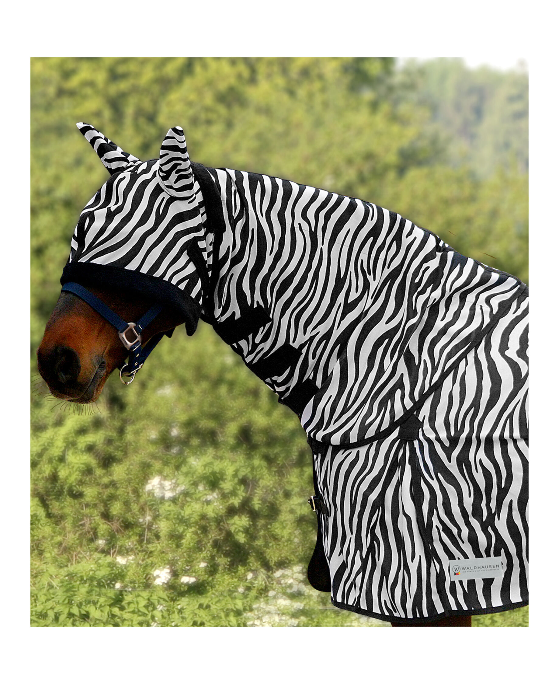 Fliegen-Halsteil Zebra