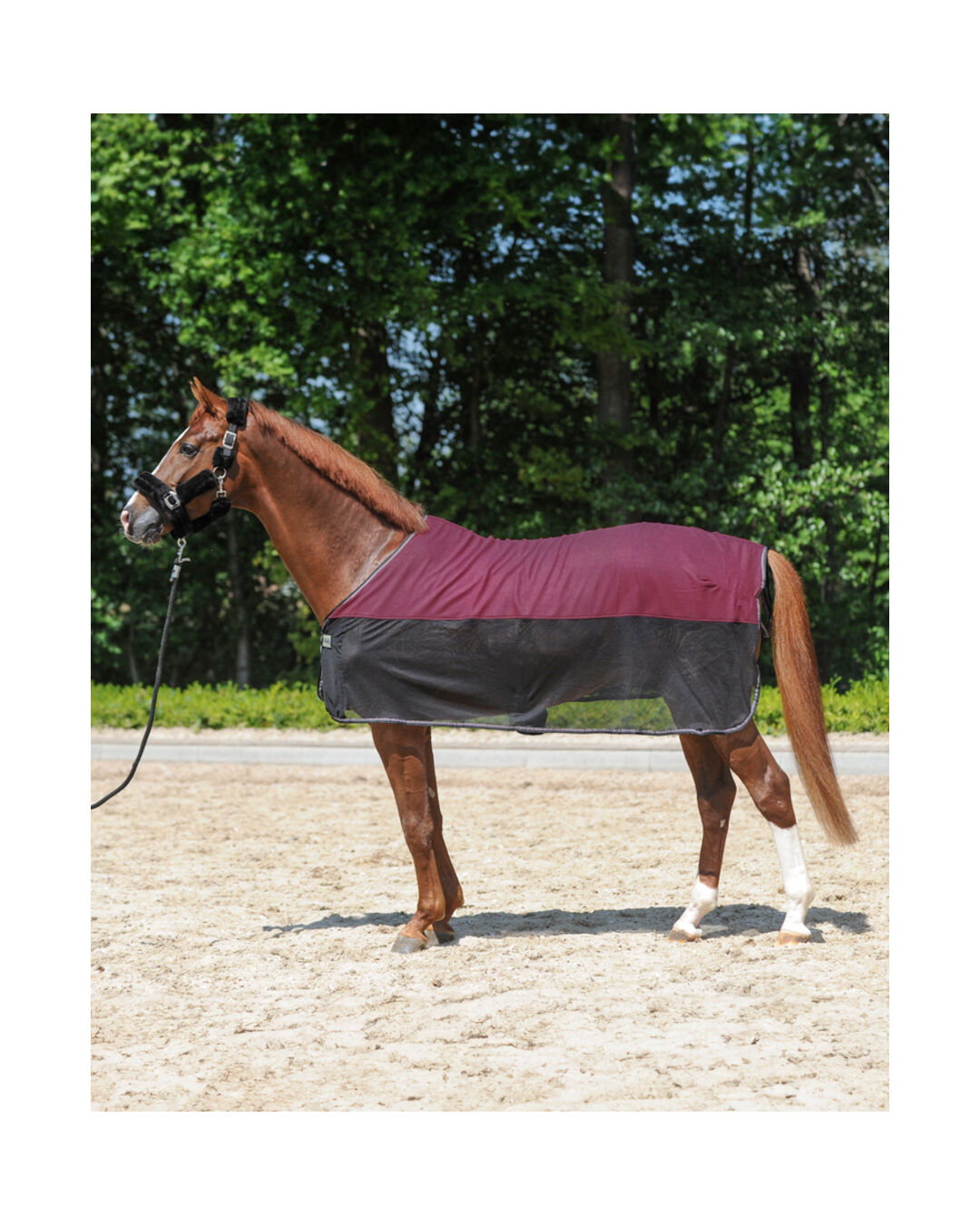 Transport- & Fliegendecke Fly'n Fleece