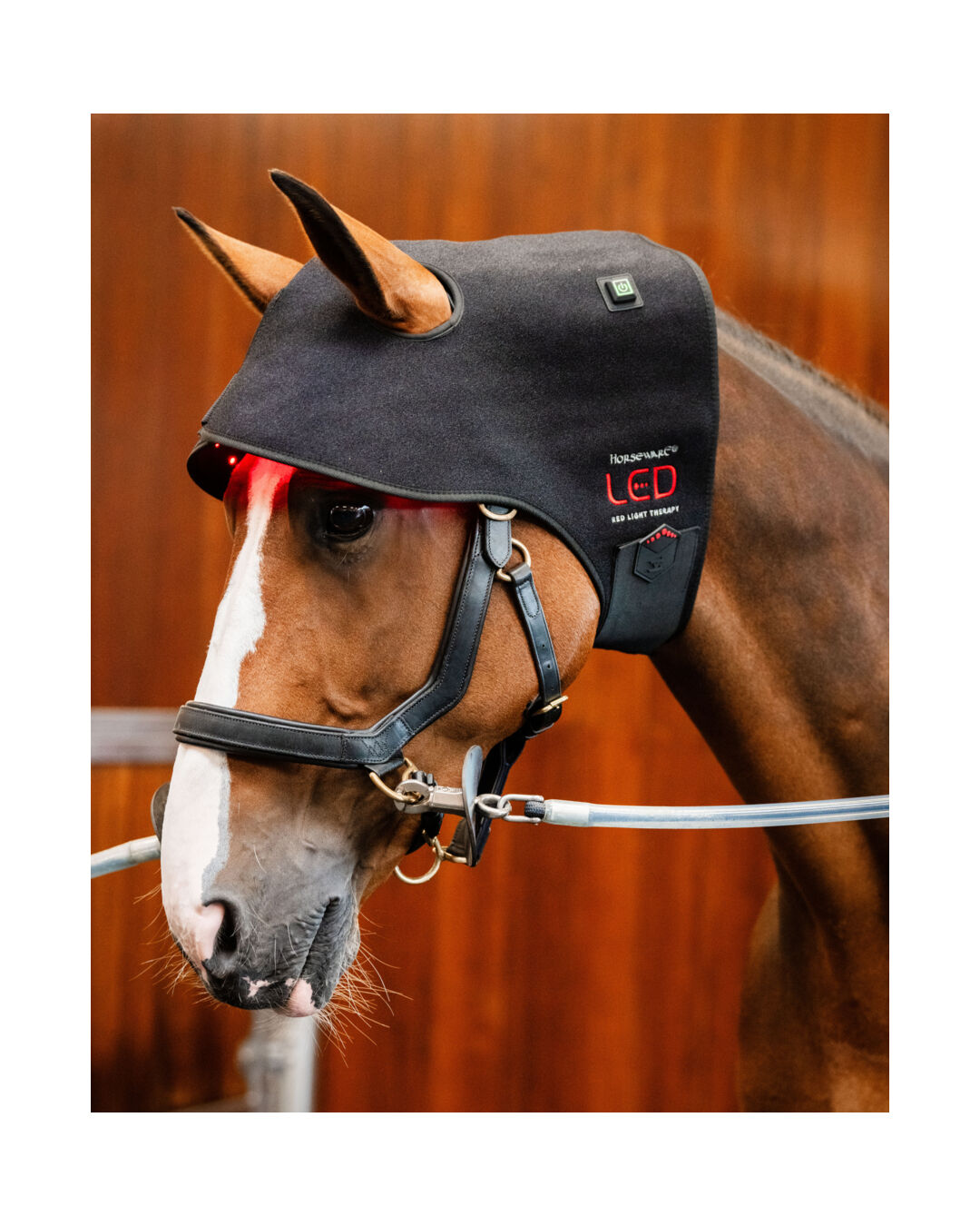 LED-Rotlicht-Therapie Genickhaube