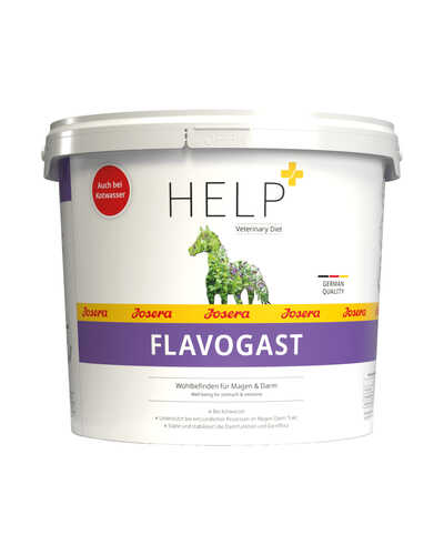 Help FlavoGast 