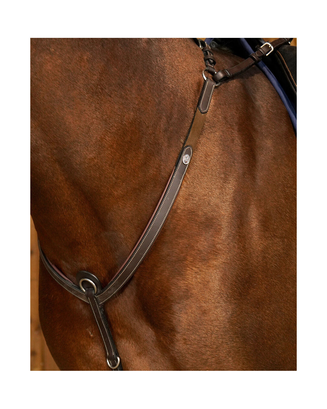 Vorderzeug mit Brücke