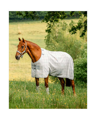 Fliegendecke Newmarket