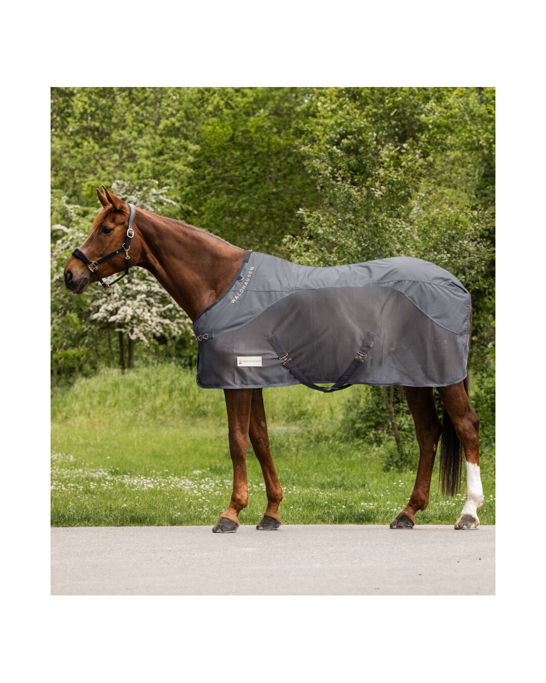 Fliegen- & Regendecke Comfort 0 g