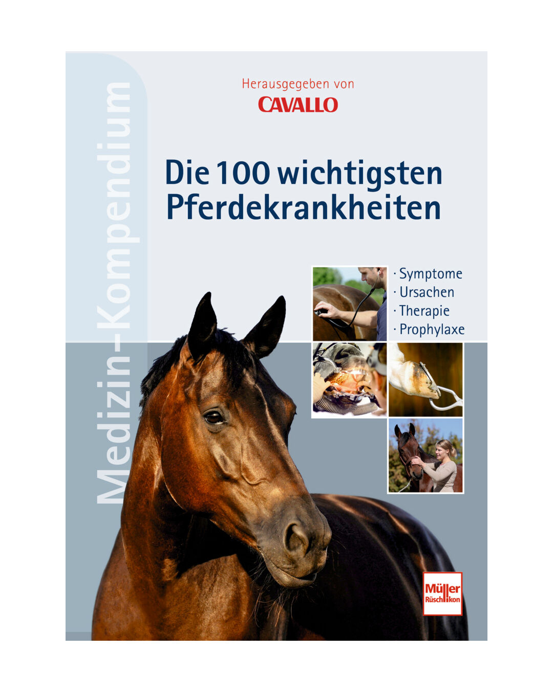 Buch Medizin-Kompendium: Die 100 wichtigsten Pferdekrankheiten