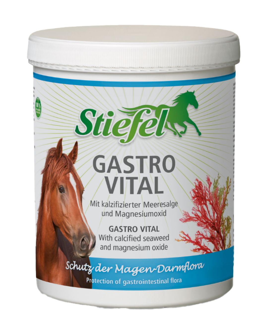 Gastro Vital