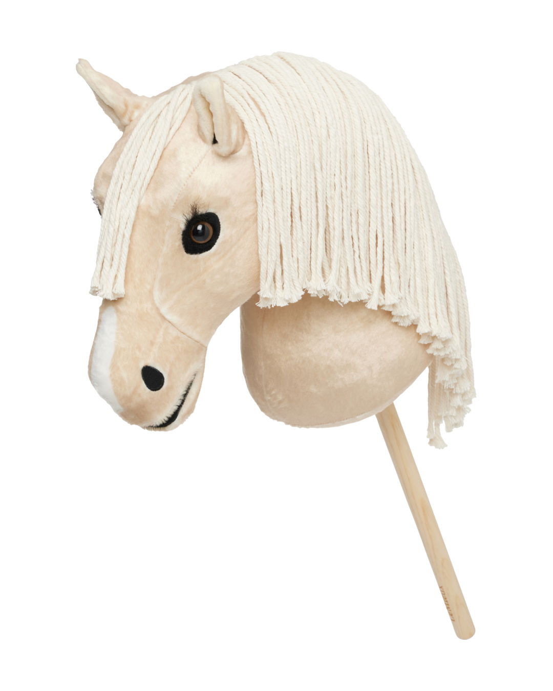 Steckenpferd Hobby Horse