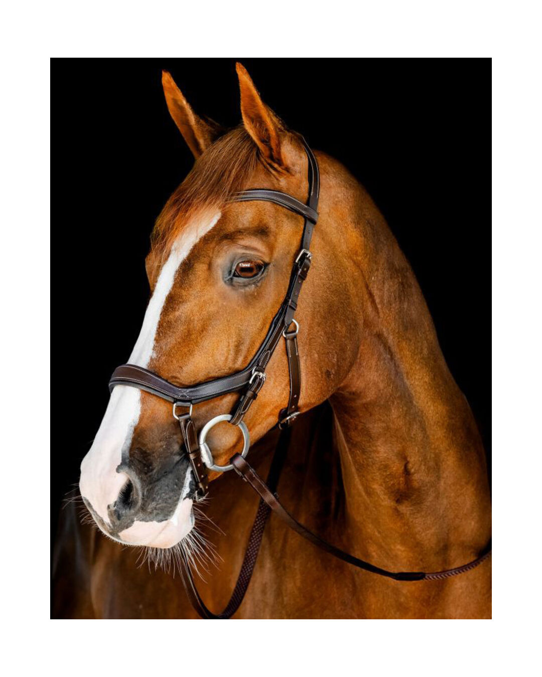 Micklem Competition Bridle