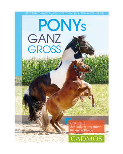Buch Ponys ganz groß 