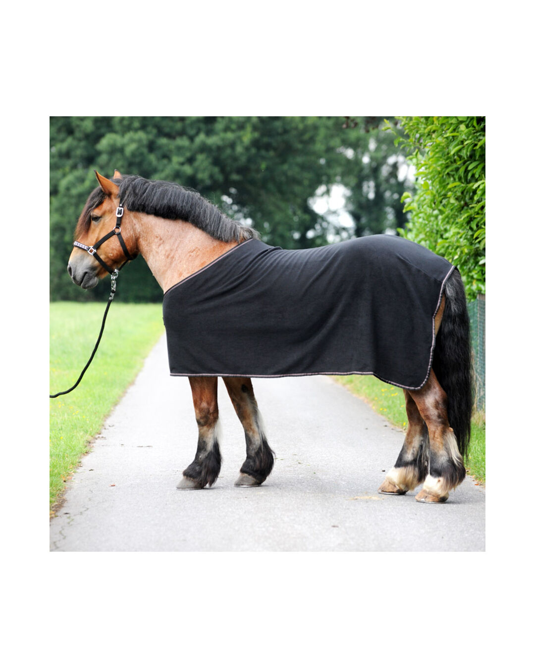 Fleece-Abschwitzdecke Kaltblut Ecoline