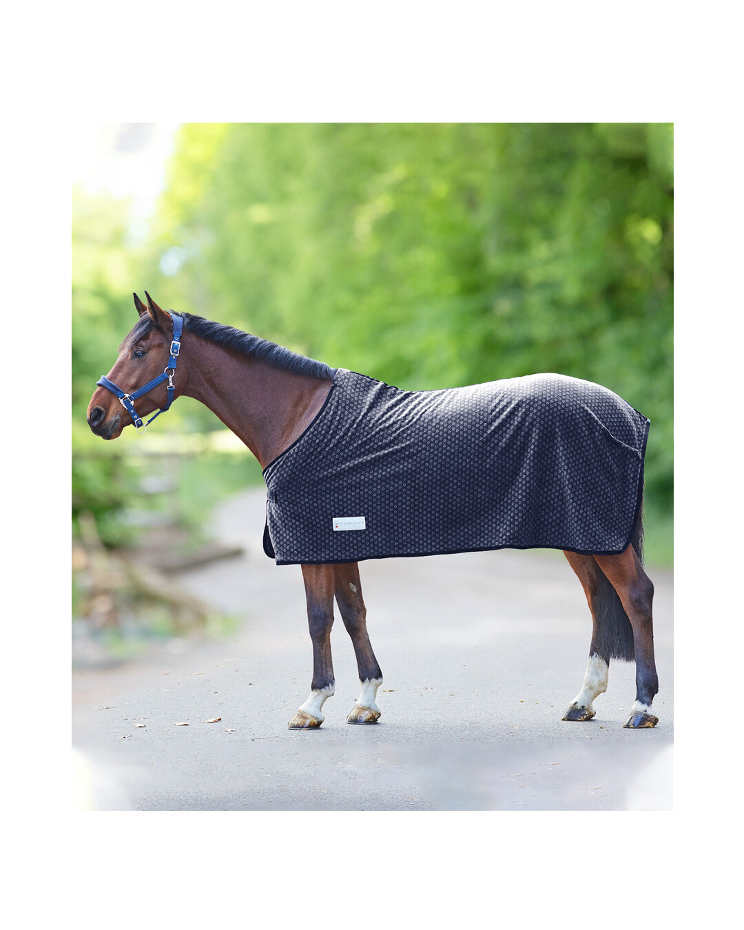 Abschwitzdecke Silver Hearts