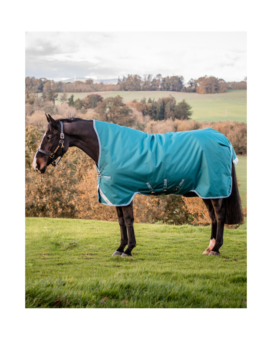 Outdoordecke Bravo 12 Wug Turnout Light 0 g