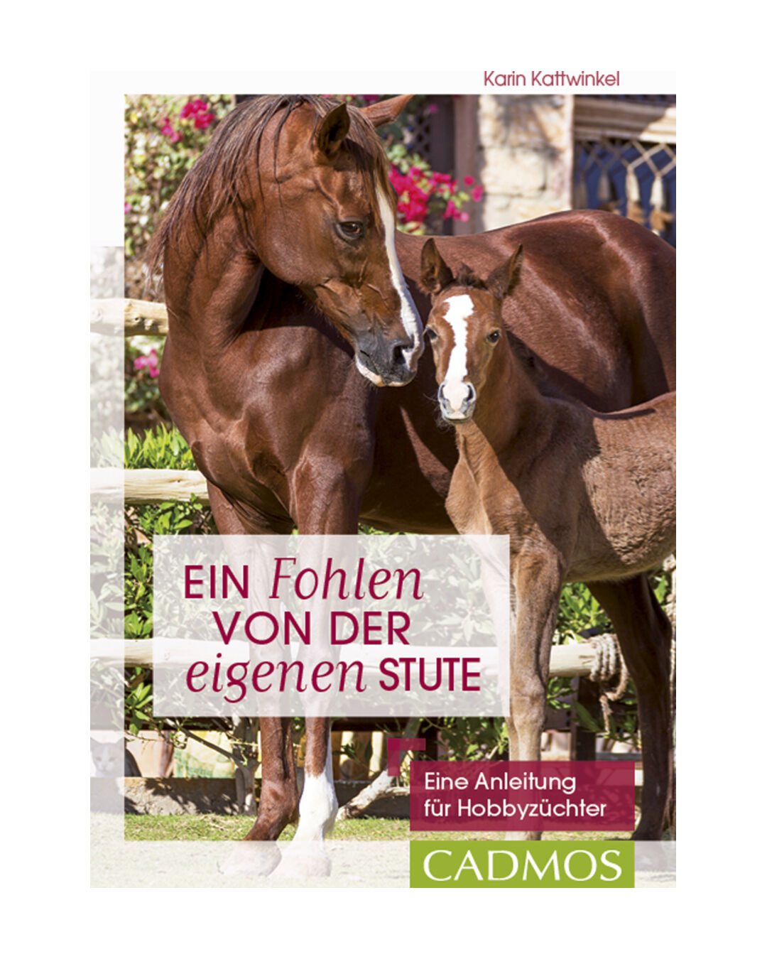 Buch Ein Fohlen von der eigenen Stute