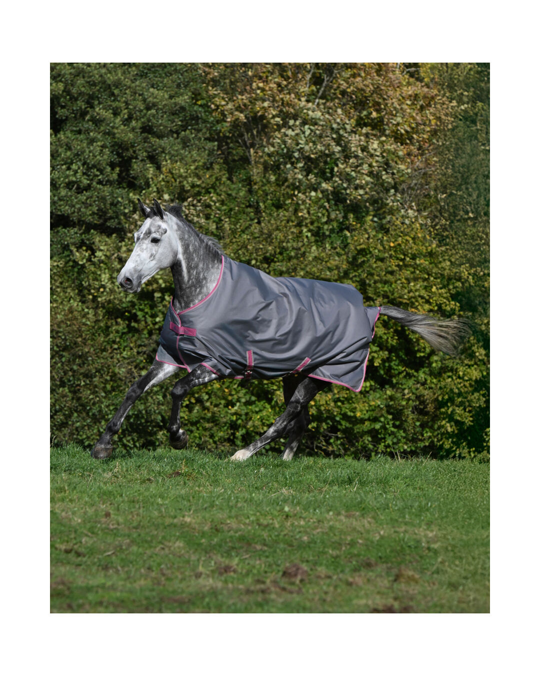 Winterdecke Freedom Turnout 300 g