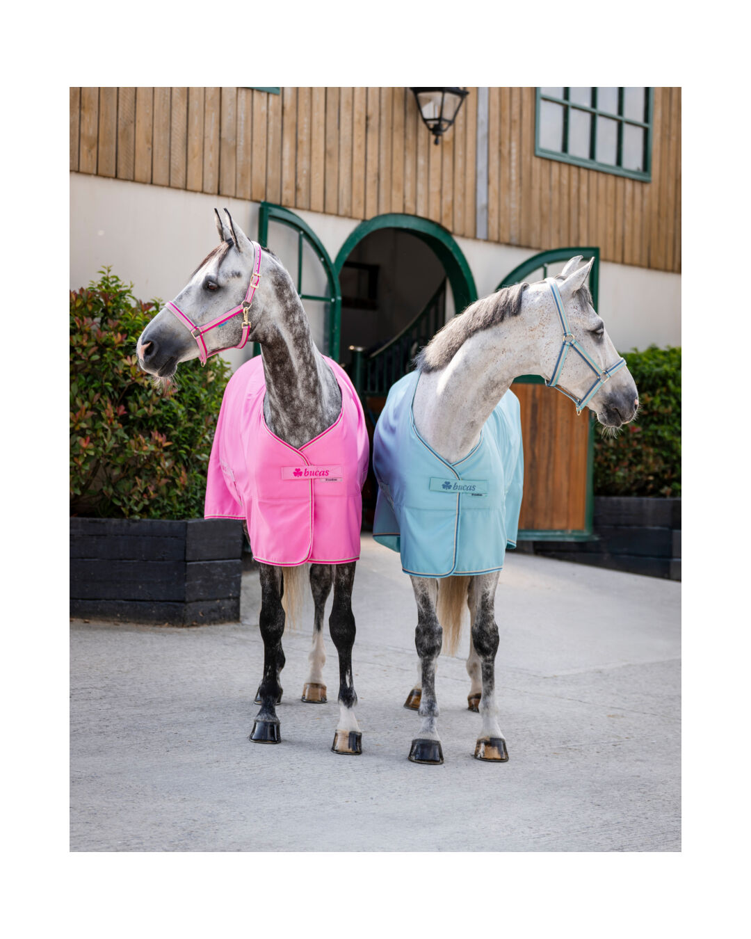 Bucas Stall- & Transportdecke Freedom Twill Sheet 0 G