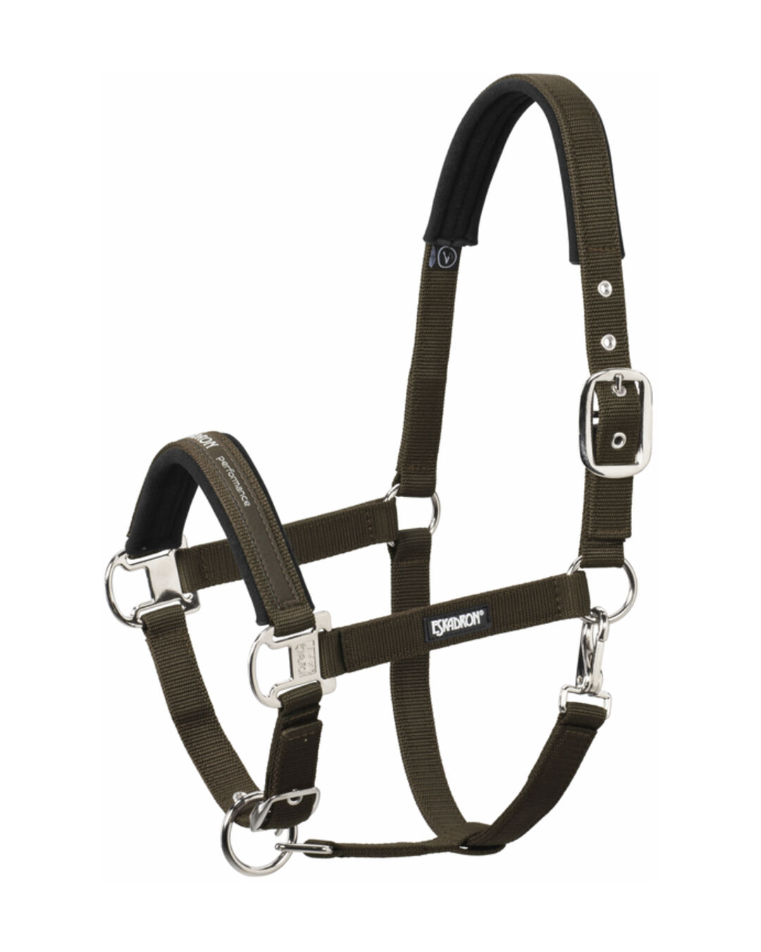 Halfter Pin Buckle